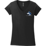 Pittsburgh Huskies Softstyle Ladies Fit V-Neck T-Shirt