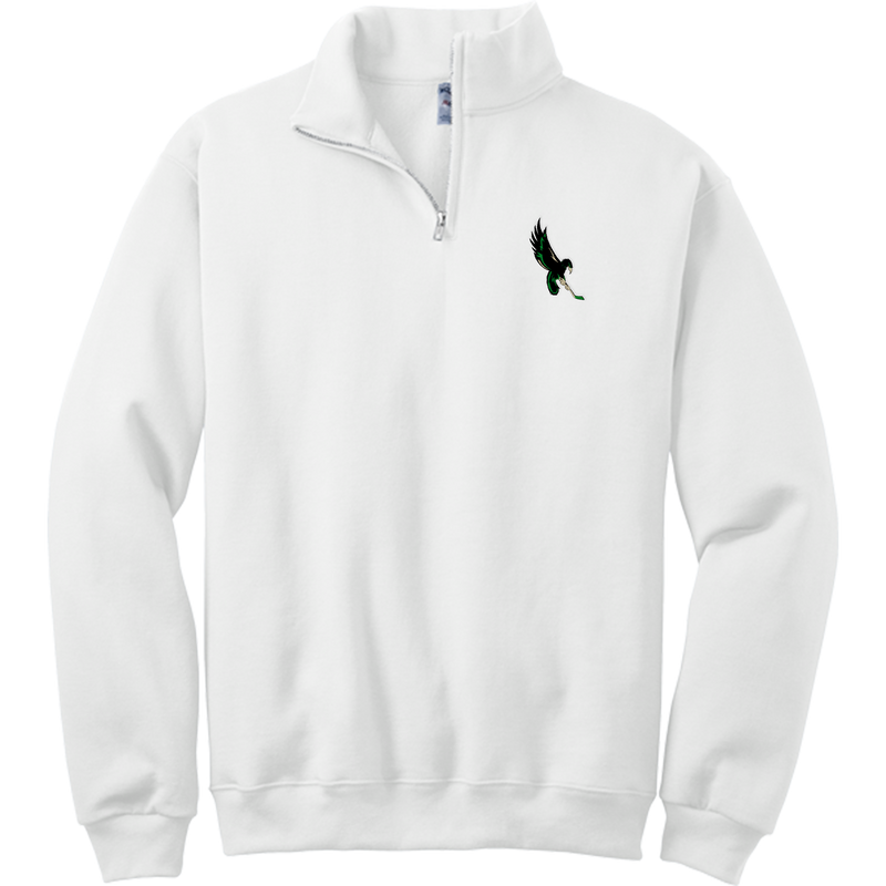 Wilmington Nighthawks NuBlend 1/4-Zip Cadet Collar Sweatshirt