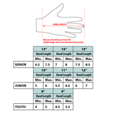 Charlotte Rush CCM 85C Custom Gloves Senior