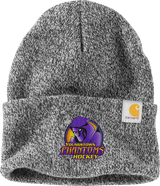 Youngstown Phantoms Carhartt Watch Cap 2.0