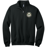 CT ECHO Stars NuBlend 1/4-Zip Cadet Collar Sweatshirt