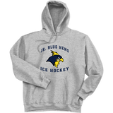 Delaware Jr. Blue Hens Ultimate Cotton - Pullover Hooded Sweatshirt