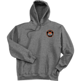 Princeton Jr. Tigers Ultimate Cotton - Pullover Hooded Sweatshirt