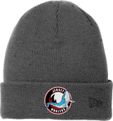 Jersey Shore Whalers New Era Speckled Beanie (E1408-F)