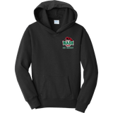 Wash U Youth Fan Favorite Fleece Pullover Hooded Sweatshirt