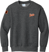 Biggby Coffee AAA Youth Core Fleece Crewneck Sweatshirt