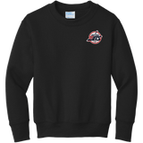 Metro Jets Youth Core Fleece Crewneck Sweatshirt